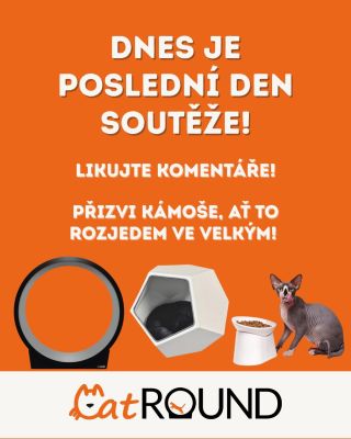 🔥 POSLEDNÍ ŠANCE! Lajkuj komentáře na soutěžním příspěvku, dokud to jde! Přizvi kámoše, ať to rozjedem ve velkým! ❤️