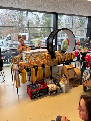 Kdo uhodne, co je hlavní cena?🥇 😻